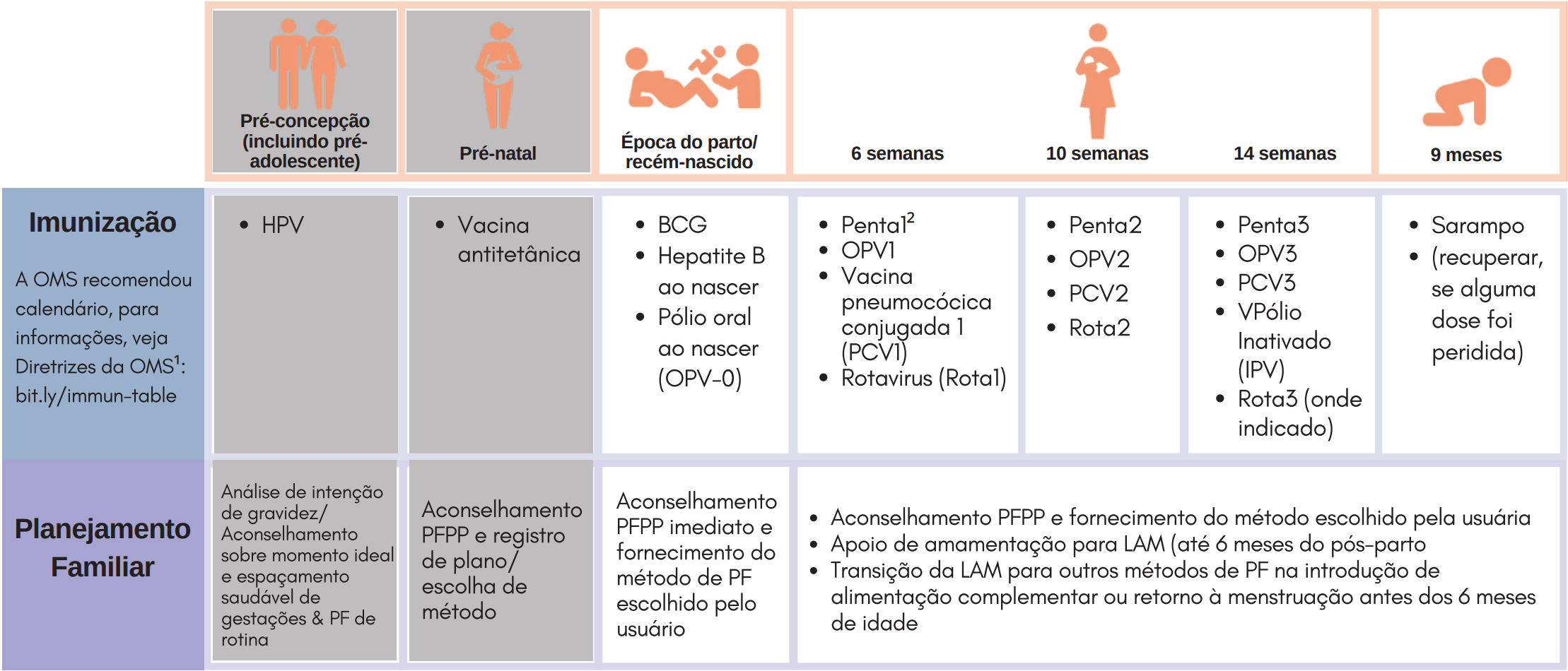 <sup>1</sup>O calednário de vacinação pode variar em alguns países.<br />
<sup>2</sup>A vacina pentavalente protege contra cinco doenças: difteria, tétano, hepatite B e Haemophilus influenzae tipo b (Hib)<br />
<em>Colunas sombreadas estão fora do período pós-parto e por isso não pertencem aos períodos relevantes para este resumo</em>