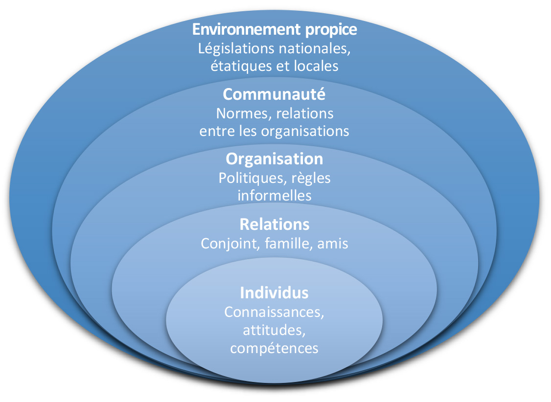 Source : Adapté de McLeroy et al., 1988