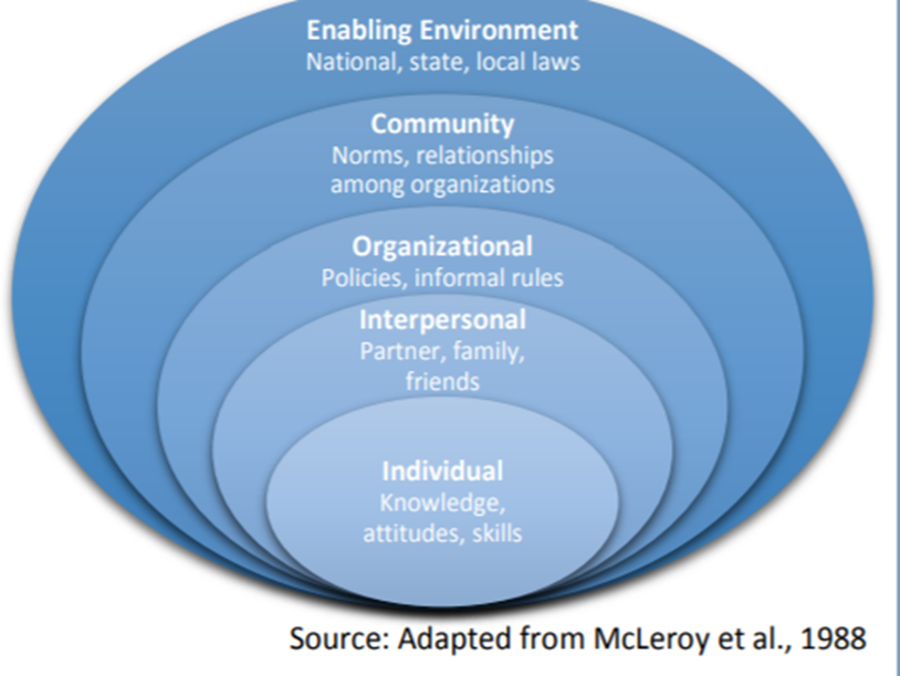 Source: Adapted from McLeroy et al., 1988 <sup>46</sup>