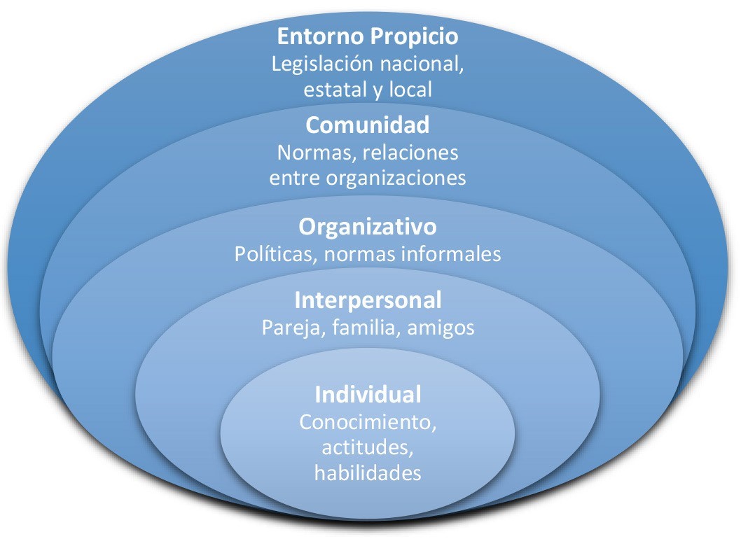 Fuente: Adaptado de McLeroy y col. 1988 <sup>46</sup>