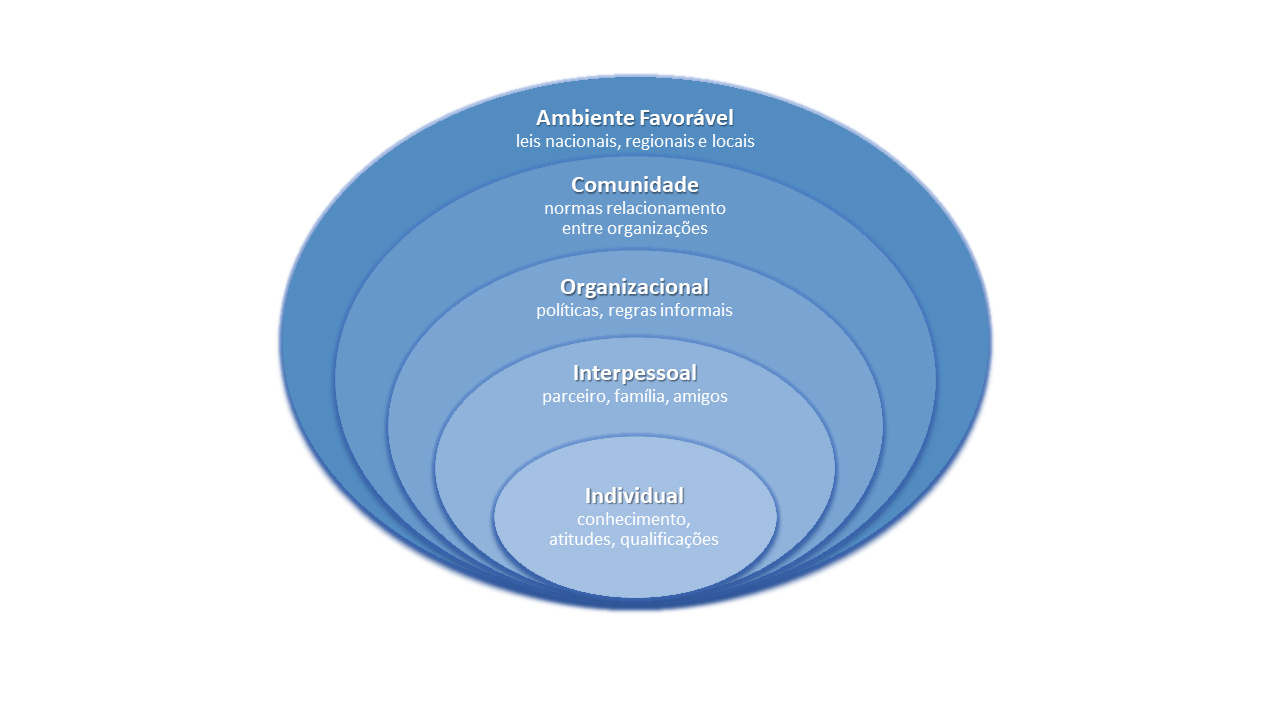 Fonte: Adaptado de McLeroy et al., 1988 <sup>46</sup> 