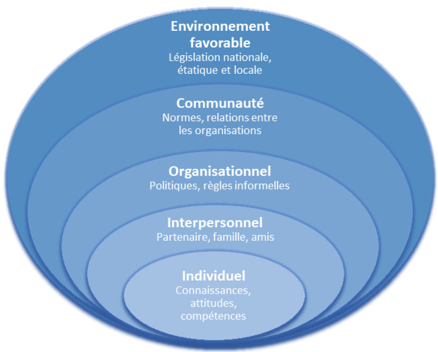 Source : Adapté de McLeroy et al., 1998<sup>46</sup>